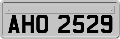AHO2529