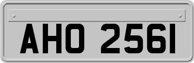 AHO2561