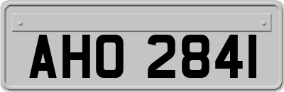 AHO2841