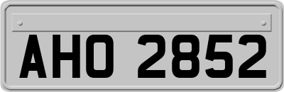 AHO2852
