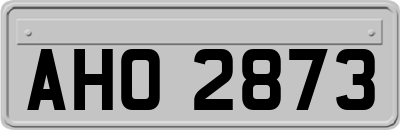 AHO2873