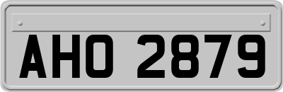 AHO2879