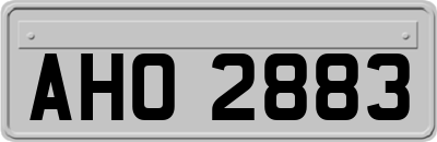 AHO2883