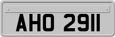 AHO2911