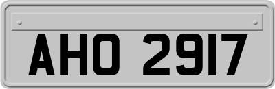 AHO2917