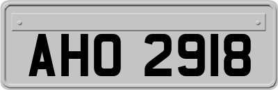 AHO2918
