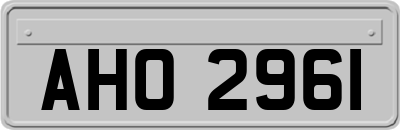 AHO2961