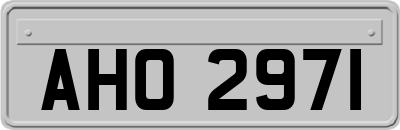 AHO2971
