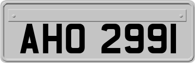 AHO2991