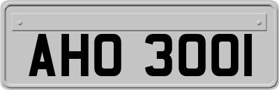AHO3001