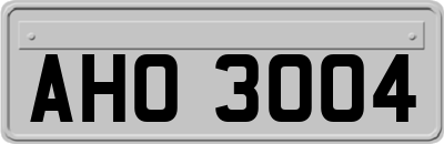 AHO3004