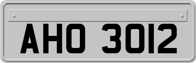AHO3012