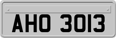 AHO3013