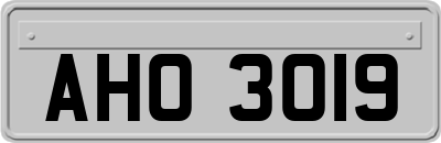 AHO3019