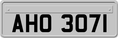 AHO3071