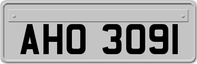 AHO3091