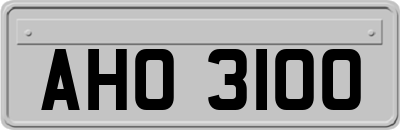 AHO3100