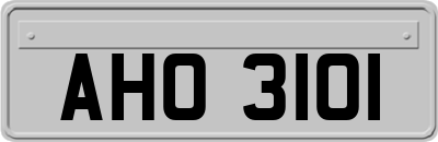 AHO3101