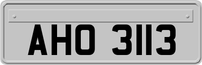 AHO3113