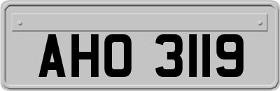 AHO3119