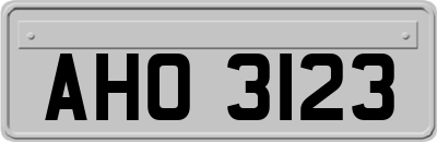 AHO3123