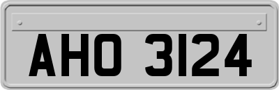 AHO3124