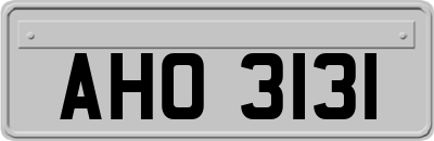AHO3131