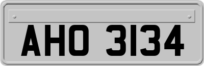 AHO3134