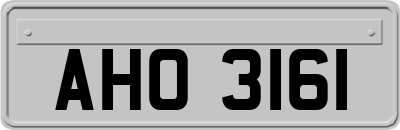 AHO3161