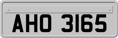 AHO3165