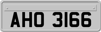 AHO3166