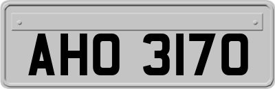 AHO3170