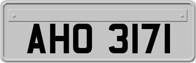 AHO3171