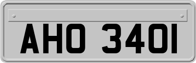 AHO3401