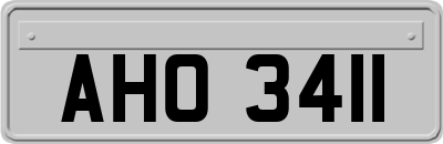 AHO3411