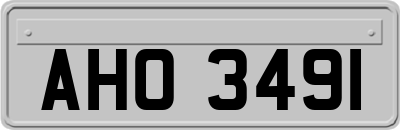 AHO3491