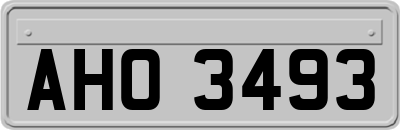 AHO3493