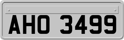 AHO3499