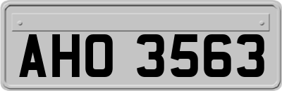 AHO3563