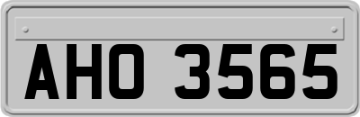 AHO3565