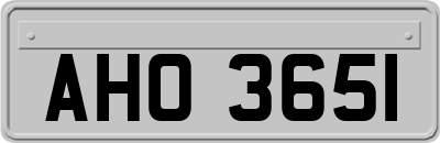 AHO3651