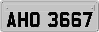 AHO3667