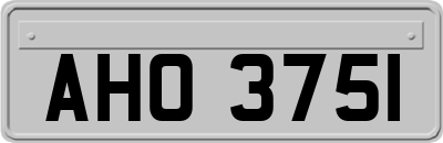 AHO3751