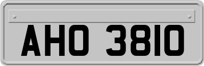 AHO3810