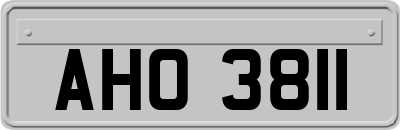 AHO3811