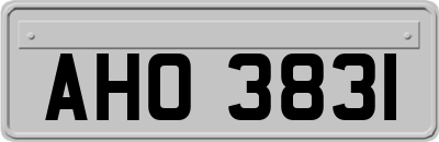 AHO3831