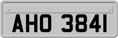 AHO3841