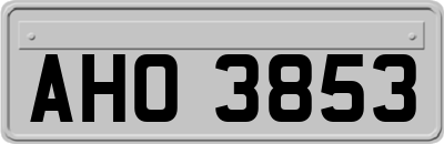 AHO3853