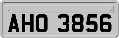 AHO3856