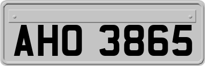 AHO3865